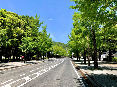 大学イメージ
